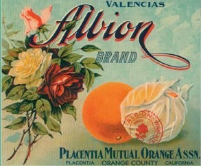 Albion Vintage Fruit Crate Label